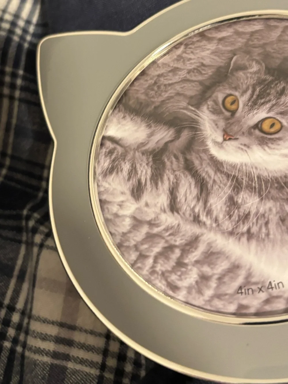Gray Cat-Shaped Picture Frame with Silver Trim